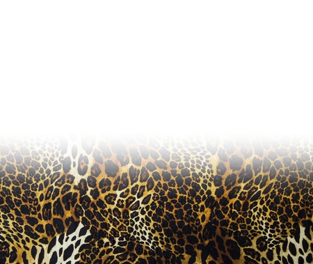 Leopard skin seamless backgroundの写真素材