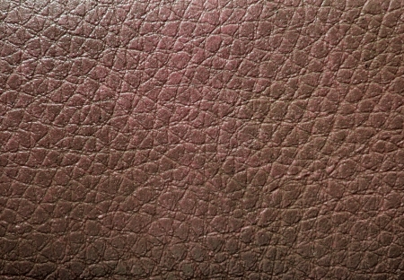 Brown skin textureの写真素材