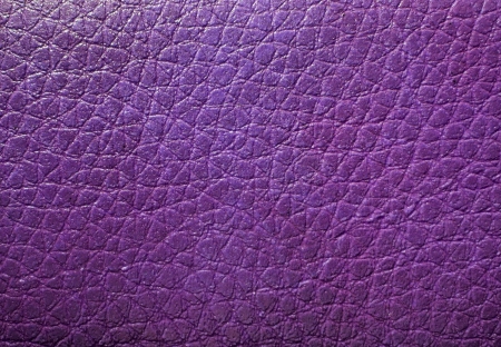 Purple skin textureの写真素材