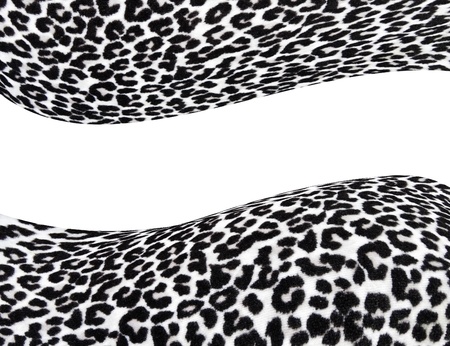 Leopard print with empty spaceの写真素材