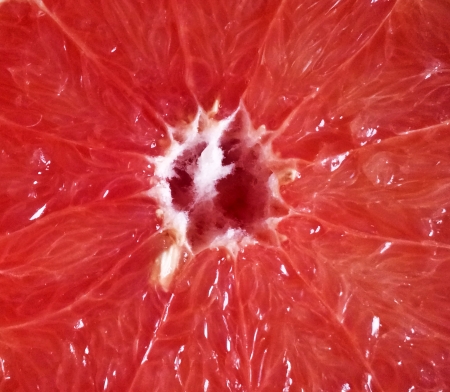 Grapefruit close-upの写真素材