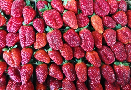 Strawberry backgroundの写真素材