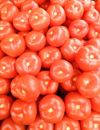 A lot of red tomatoes backgroundの写真素材
