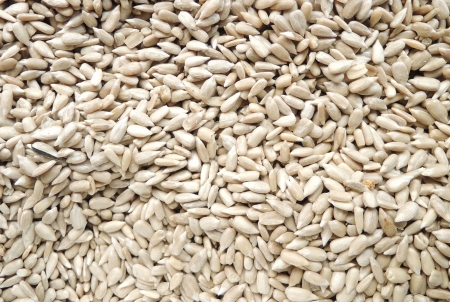 dried peeled sunflower seed for background uses

の写真素材