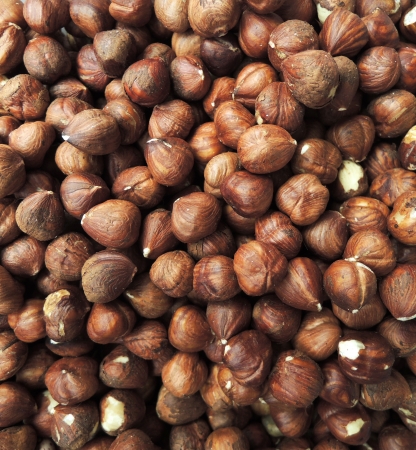 hazelnut background

の写真素材