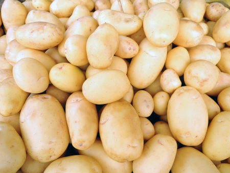 Healthy food, background. Potato.の写真素材
