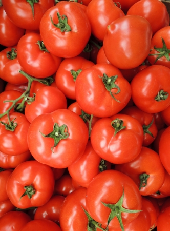 Red tomatoes backgroundの写真素材