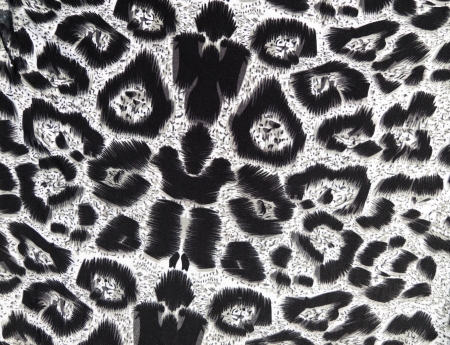 Abstract leopardの写真素材