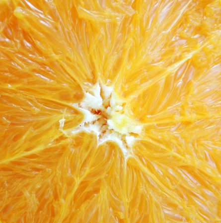 macro of an orange for backgrounds

の写真素材