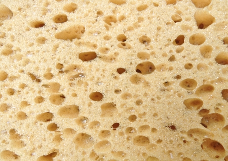 Yellow sponge texture for background. Close upの写真素材