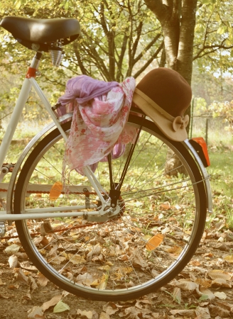 Vintage Bicycle for ladyの写真素材