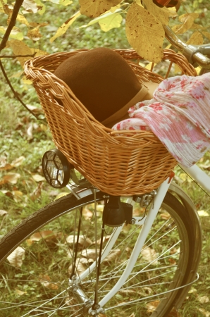 Vintage Bicycle in natureの写真素材