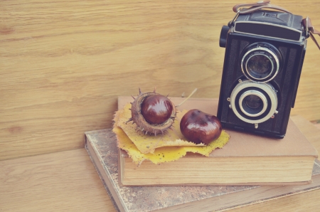 Old camera and fresh  chestnut の写真素材