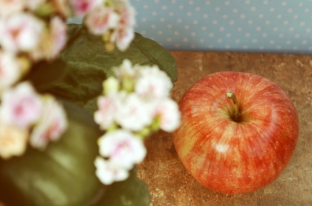 Apple on old books and flowersの写真素材