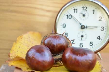 Old book with chestnut and clock vintageの写真素材