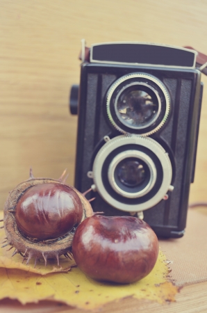 Old camera and fresh  chestnut の写真素材