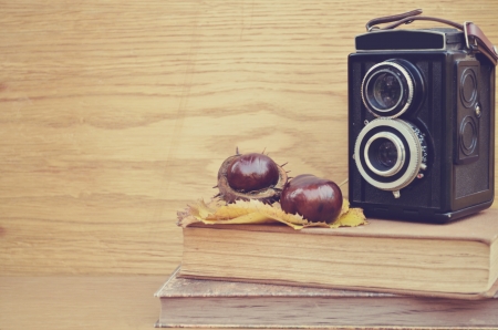 Old camera and fresh chestnut on old booksの写真素材