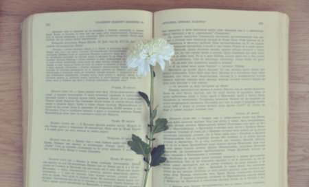 Old vintage book with flower