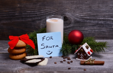 Milk and cookies for Santa Claus

の写真素材