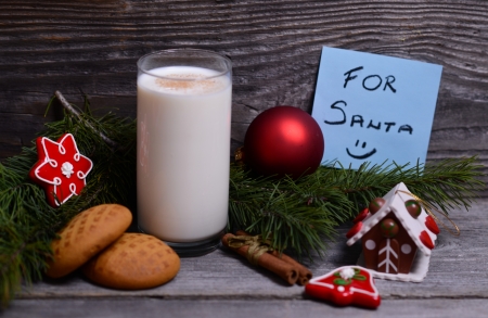 Milk and cookies for Santa Claus

の写真素材