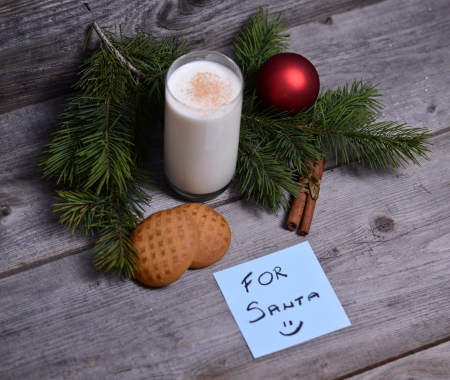 Milk and cookies for Santa Claus

の写真素材