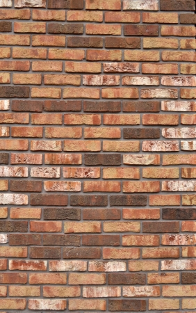 Background of brick wall texture

の写真素材