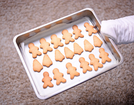 Christmas cookies in baking panの写真素材