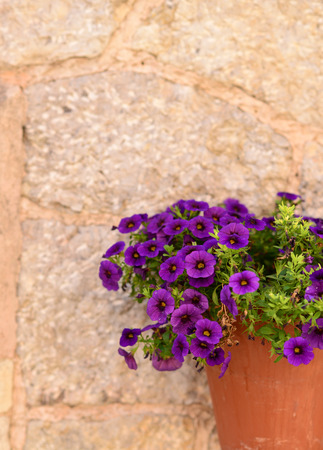Beautiful mediterranean decoration on a wall in the historic village Valldemosa in Majorcaの写真素材