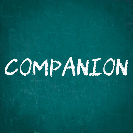COMPANION written on chalkboardの写真素材