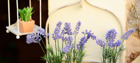 Decorative lavender and other flowers in potの写真素材