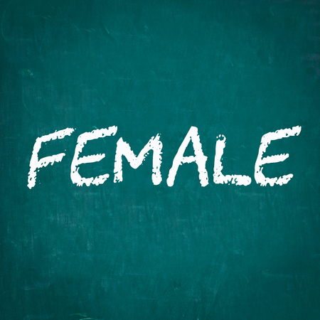 FEMALE written on chalkboardの写真素材