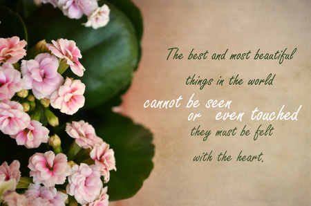 Inspirational and motivational vintage quoteの写真素材