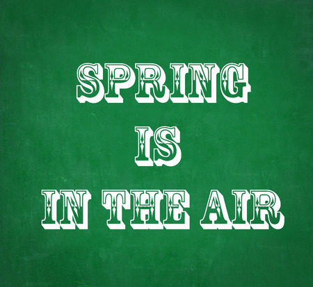 SPRING IS IN THE AIR written on chalkboardの写真素材