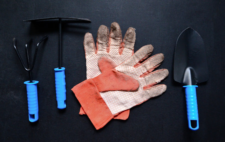 Garden tools on blackboardの写真素材