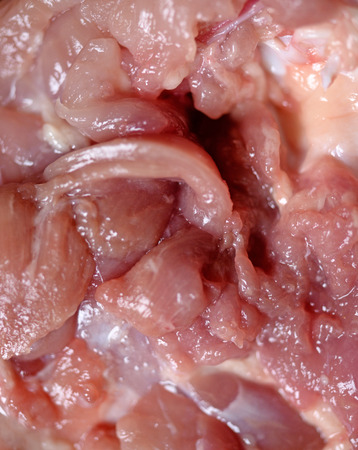 Raw chicken meat closeup textureの写真素材