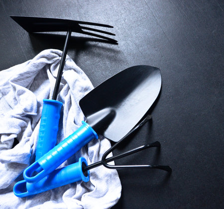 Garden tools on blackboardの写真素材