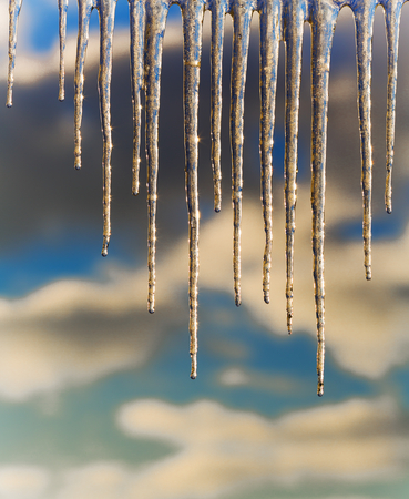 Winter icicles on a background of the early sun frosty morningの写真素材