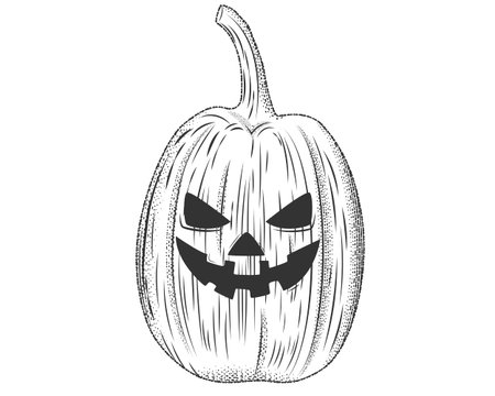 Ink sketch of pumpkin halloween isolated on white background.Pumpkin with angry face in engraving style.Jack-o-lantern in vintage retro woodcut etching style.Vector illustration EPS 10 editable stroke.のイラスト素材