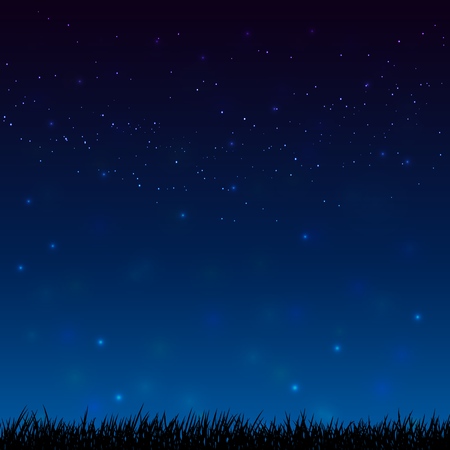 Vector background. Night starry sky and dark grass ground silhoutte backgroundのイラスト素材