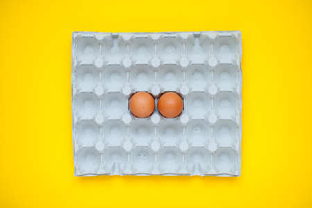 Chicken eggs in cassette on bright yellow backgroundの写真素材