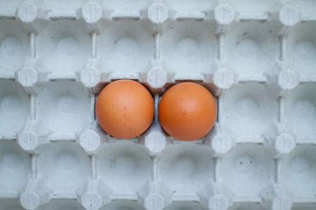 Chicken eggs in cassette on bright yellow backgroundの写真素材