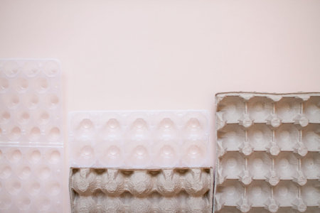 Egg packaging: recyclable and plastic. Waste sorting. Ecological problems. High quality photo