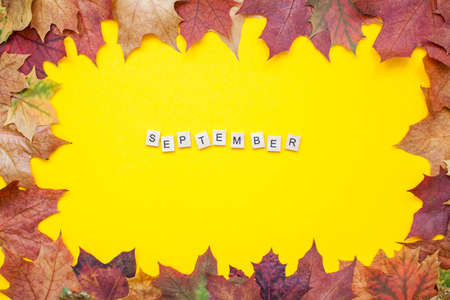 Inscription of wooden blocks september. Frame made of red and orange autumn maple leaves on a bright yellow background. Layout. Flat layの写真素材