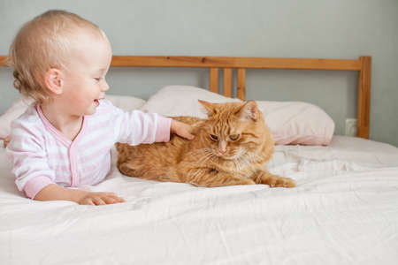 A little cute girl sits on the bed with a fat ginger cat, strokes and plays with him. High quality photoの写真素材