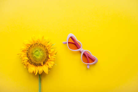 Arrangement of pink sunglasses in the shape of hearts and sunflowers on a bright yellow background. High quality photoの写真素材