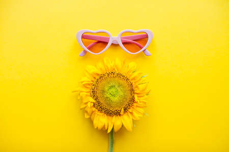 Arrangement of pink sunglasses in the shape of hearts and sunflowers on a bright yellow background. High quality photoの写真素材