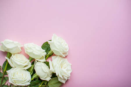 Layout of delicate white roses on a pink background. High quality photoの写真素材