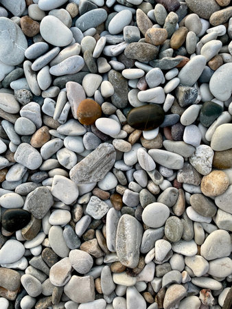 Varied natural pebbles of different shapes and colors on a beach. High quality photo