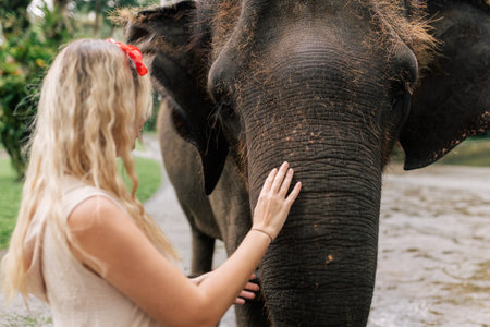 beautiful girl with smiling elephant, elephant village, baliの写真素材