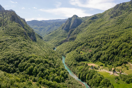 Aerial view of Tara River deep canyon and forest mountain in northern Montenegro.